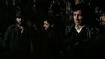 索比堡（国语版）,揭秘二战犹太人大屠杀的黑暗篇章