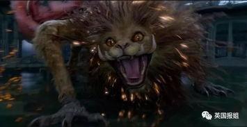 神奇动物在哪里 （国语版）