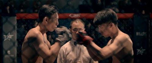 秃涂陌路,探寻人生旅途中的孤独与成长